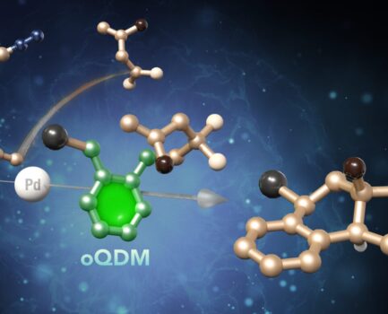 Chem誌で発表した成果をプレスリリースしました