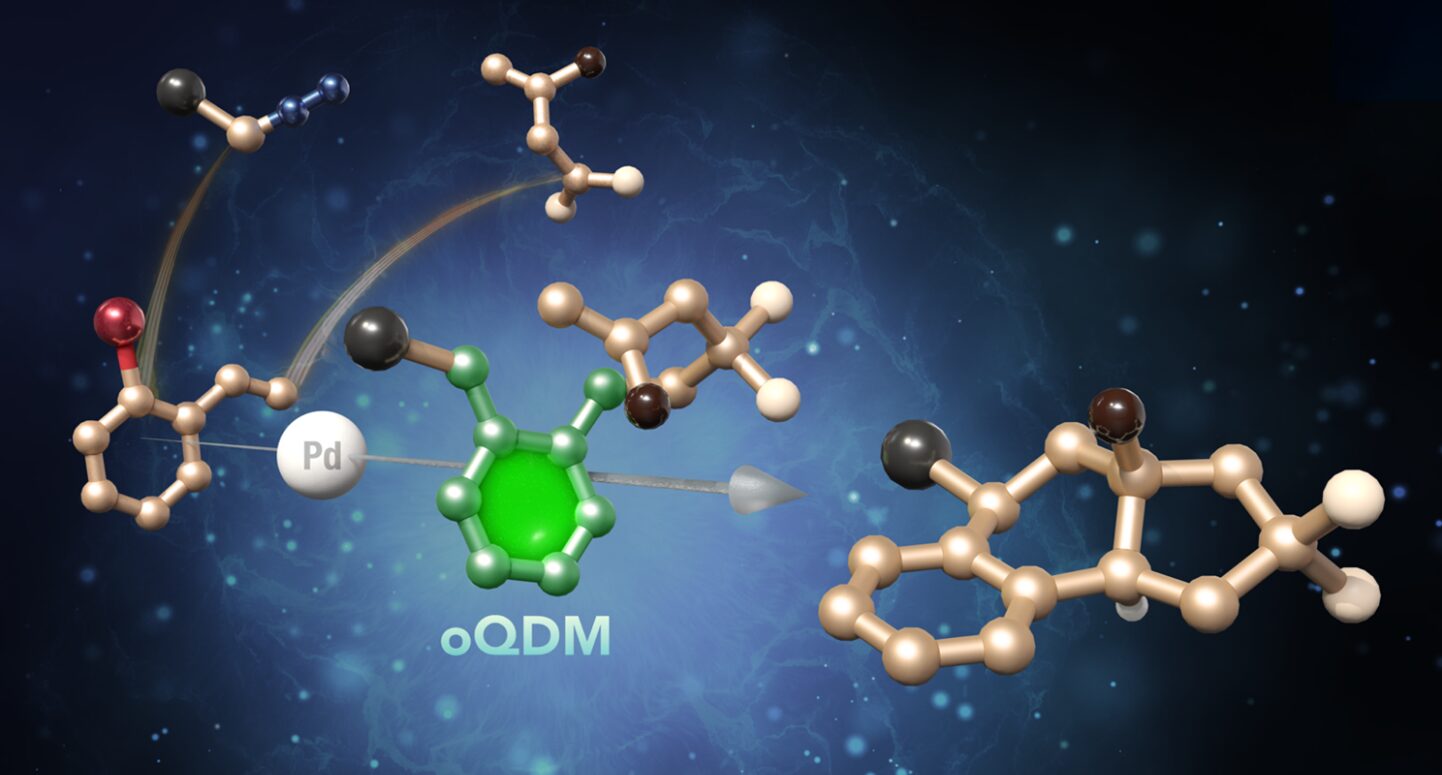 Chem誌で発表した成果をプレスリリースしました